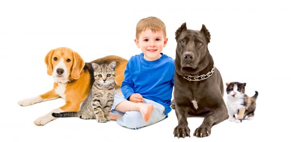 Waco Pets