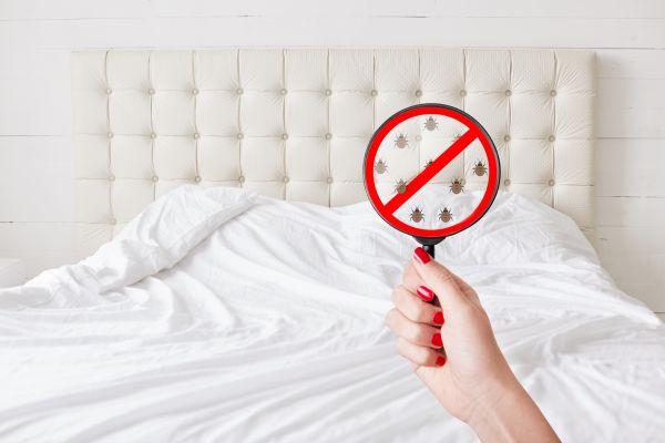 Waco Pest Control Service