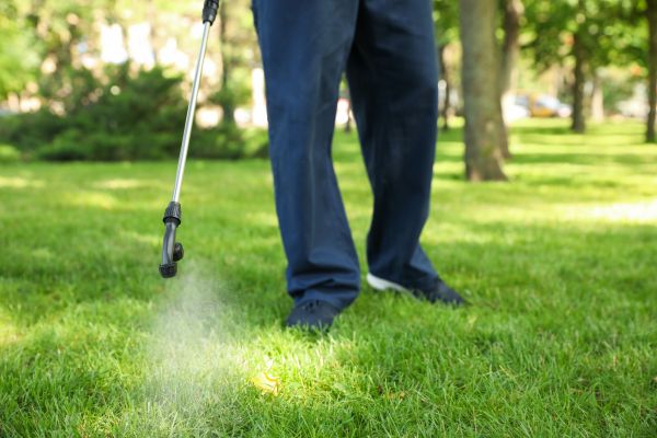 Waco Lawn Treatment